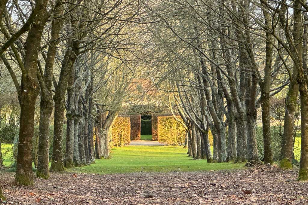L'allée des Merisiers du Manoir d'Argentel en automne