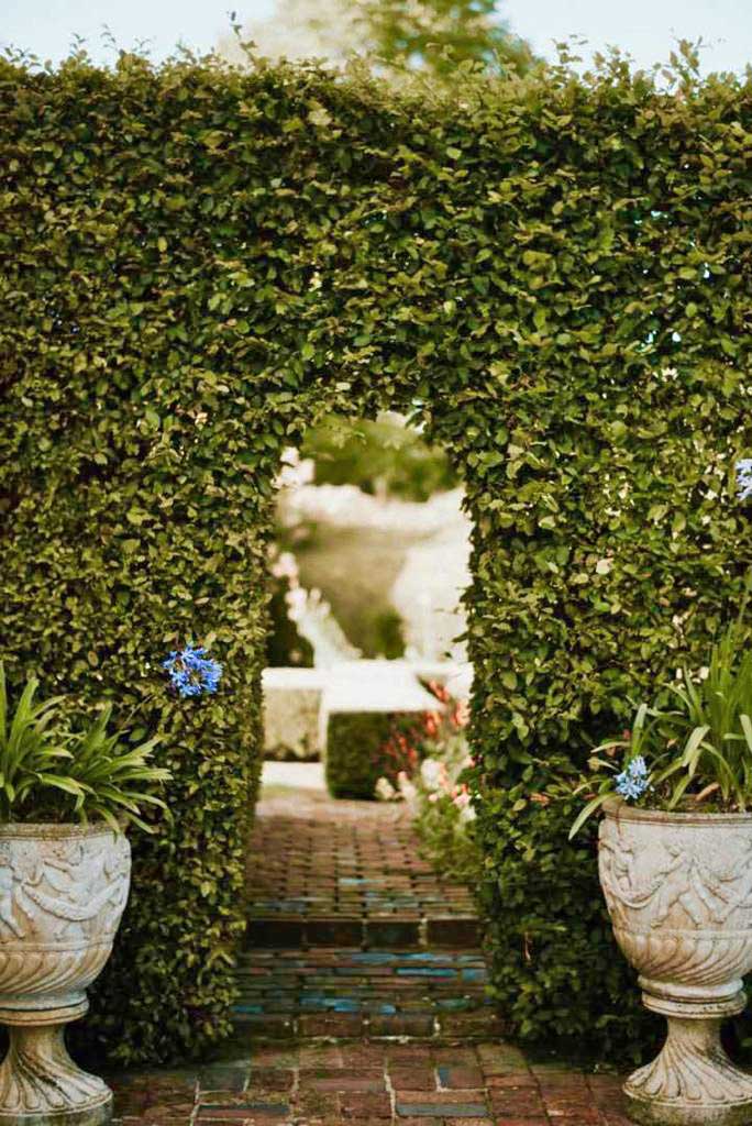 Une arche de verdure dans les jardins à la Française du Manoir d'Argentel